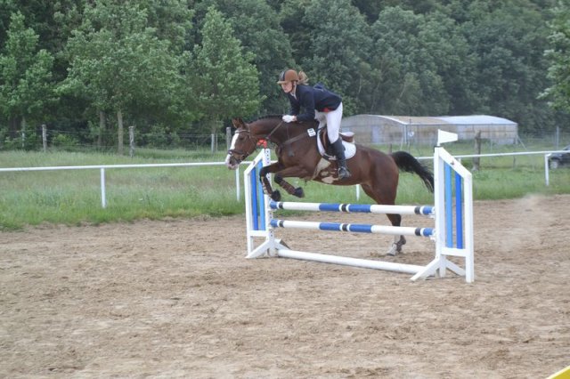 reitertag 2013 68